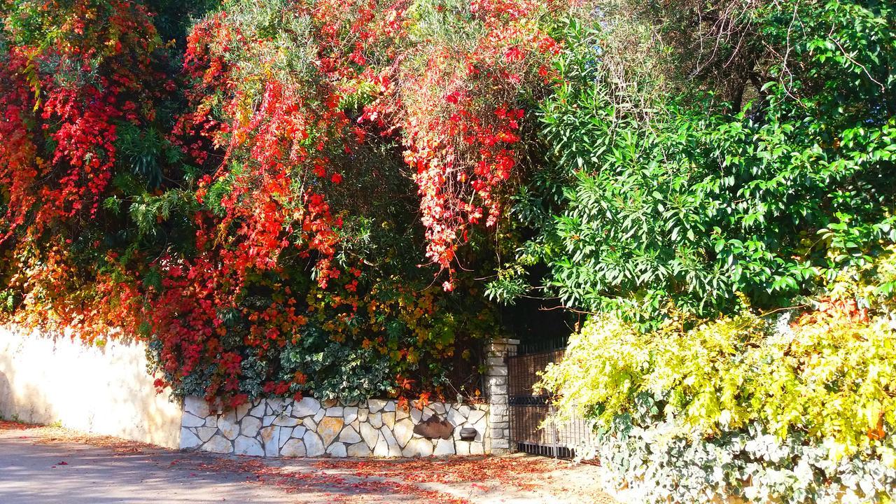 Villa Lofos Kassiopi Exterior photo